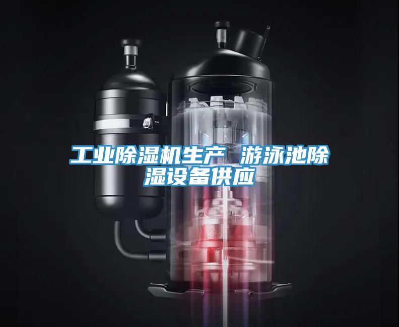 工業91看片网站生產 遊泳池除濕設備供應