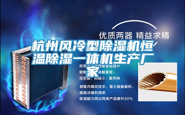 杭州風冷型91看片网站恒溫除濕一體機生產廠家