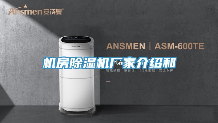 機房91看片网站廠家介紹和