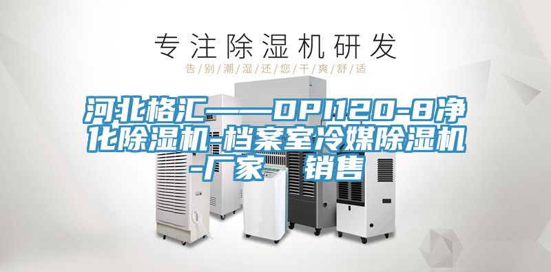 河北格匯——DPI120-8淨化91看片网站-檔案室冷媒91看片网站-廠家  銷售