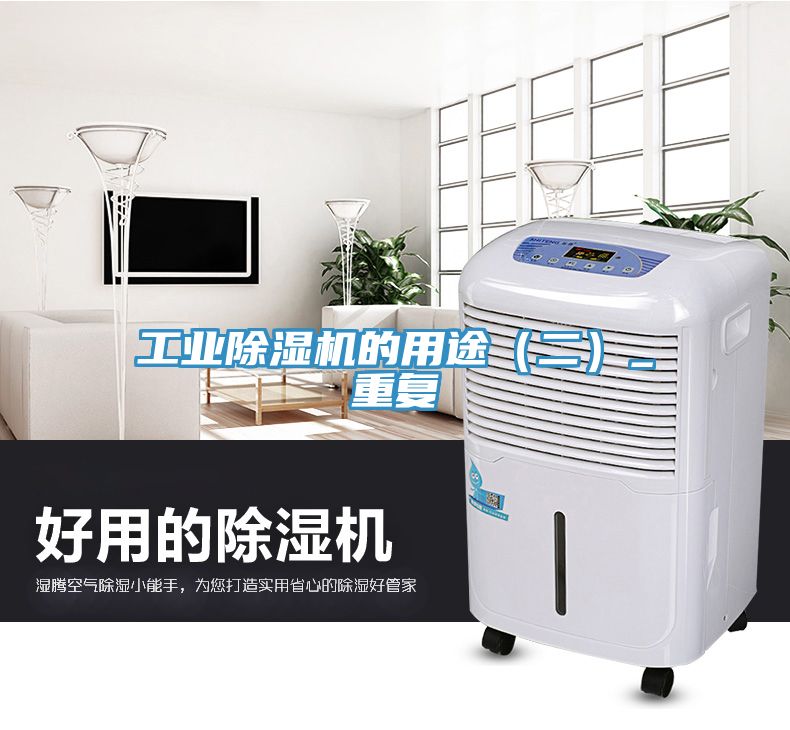 工業91看片网站的用途（二）_重複