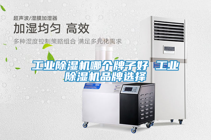 工業91看片网站哪個牌子好 工業91看片网站品牌選擇