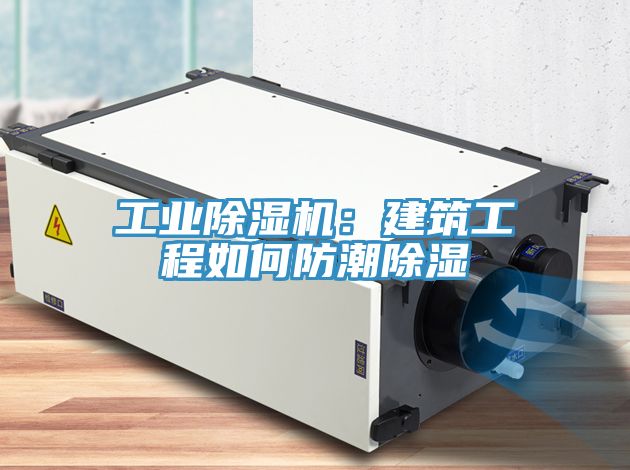 工業91看片网站：建築工程如何防潮除濕