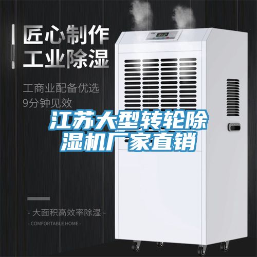 江蘇大型轉輪91看片网站廠家直銷