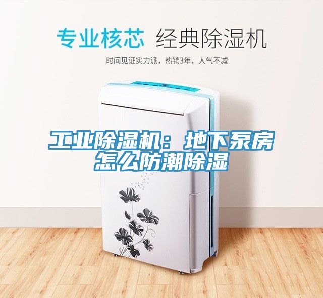 工業91看片网站：地下泵房怎麽防潮除濕