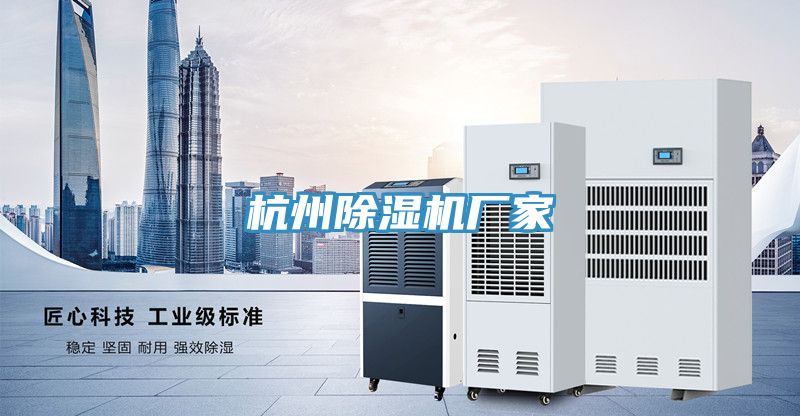 杭州91看片网站廠家