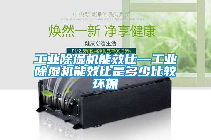 工業91看片网站能效比—工業91看片网站能效比是多少比較環保