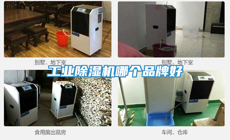 工業91看片网站哪個品牌好