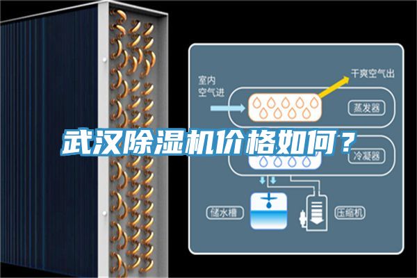 武漢91看片网站價格如何？
