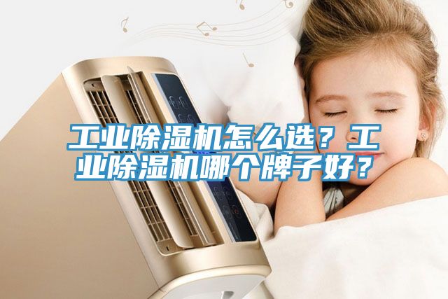 工業91看片网站怎麽選？工業91看片网站哪個牌子好？