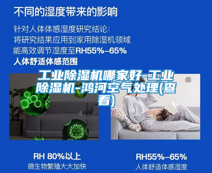 工業91看片网站哪家好-工業91看片网站-鴻河空氣處理(查看)
