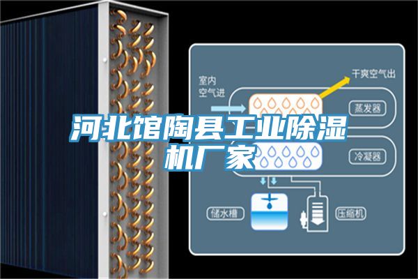 河北館陶縣工業91看片网站廠家