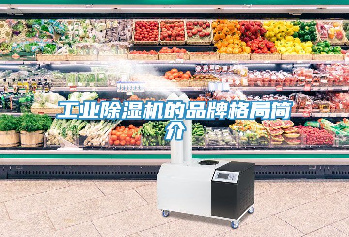 工業91看片网站的品牌格局簡介