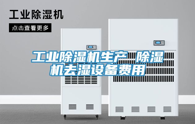 工業91看片网站生產 91看片网站去濕設備費用