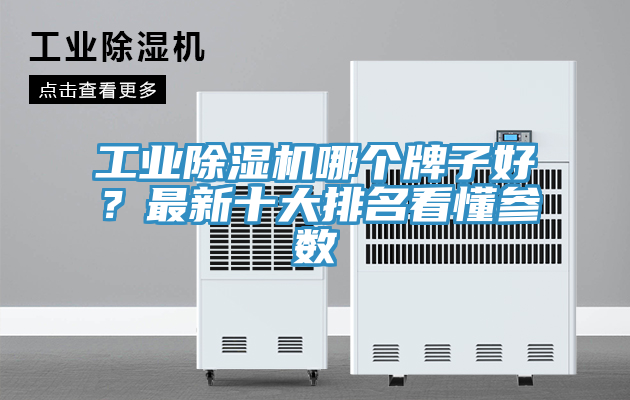 工業91看片网站哪個牌子好？最新十大排名看懂參數