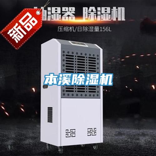 本溪91看片网站