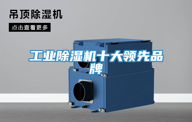 工業91看片网站十大領先品牌