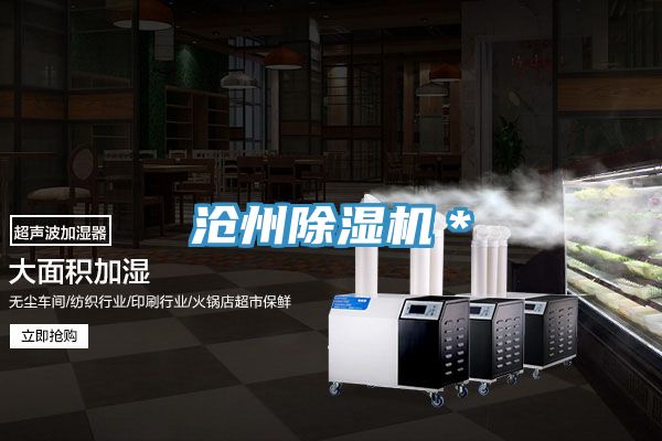 滄州91看片网站＊