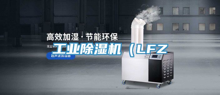工業91看片网站（LFZ