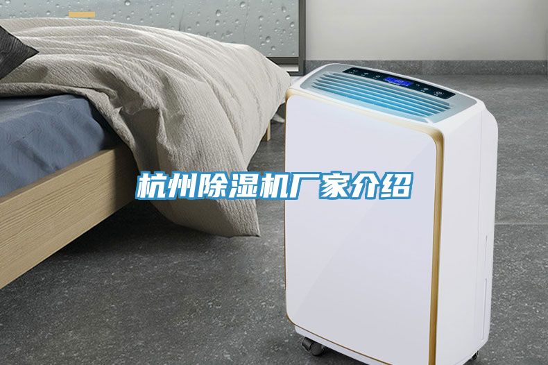 杭州91看片网站廠家介紹