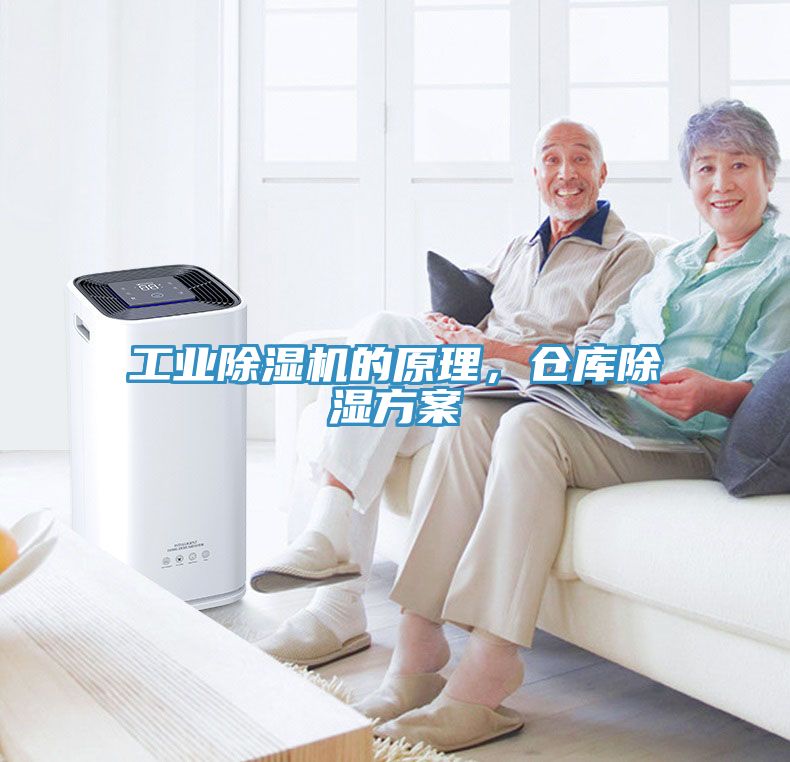 工業91看片网站的原理，倉庫除濕方案