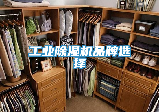 工業91看片网站品牌選擇