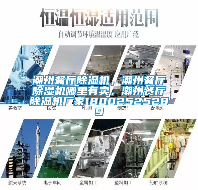 潮州餐廳91看片网站，潮州餐廳91看片网站哪裏有賣，潮州餐廳91看片网站廠家18002525289