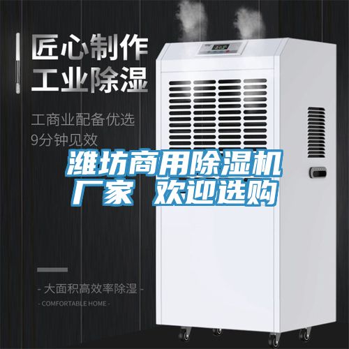 濰坊商用91看片网站廠家 歡迎選購