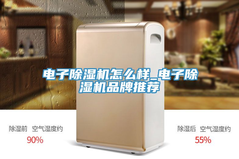 電子91看片网站怎麽樣_電子91看片网站品牌推薦