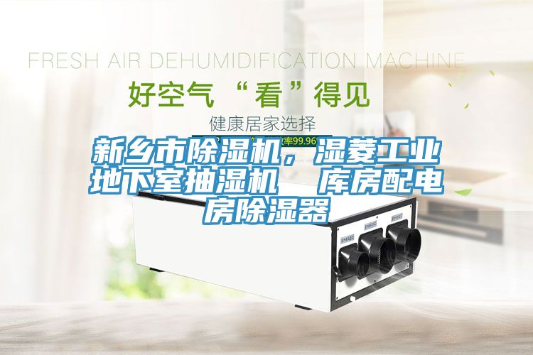 新鄉市91看片网站，濕菱工業地下室抽濕機  庫房配電房除濕器