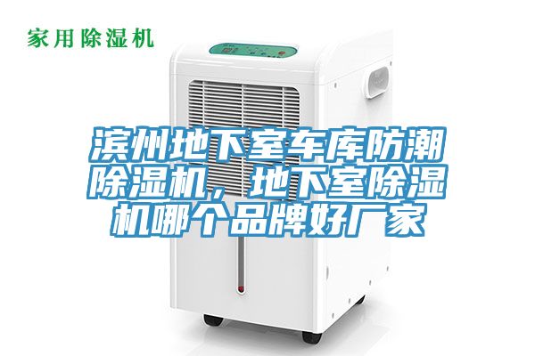 濱州地下室車庫防潮91看片网站，地下室91看片网站哪個品牌好廠家