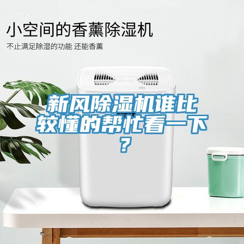 新風91看片网站誰比較懂的幫忙看一下？