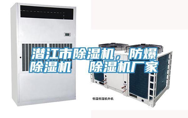 潛江市91看片网站，防爆91看片网站  91看片网站廠家