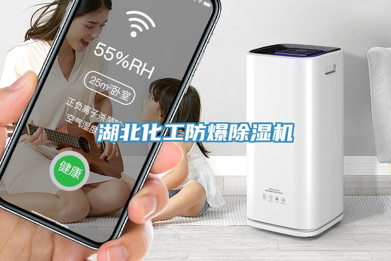 湖北化工防爆91看片网站