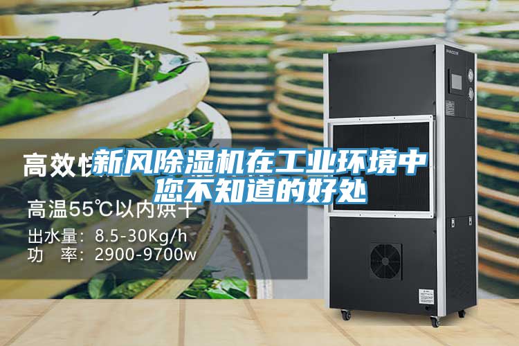 新風91看片网站在工業環境中您不知道的好處