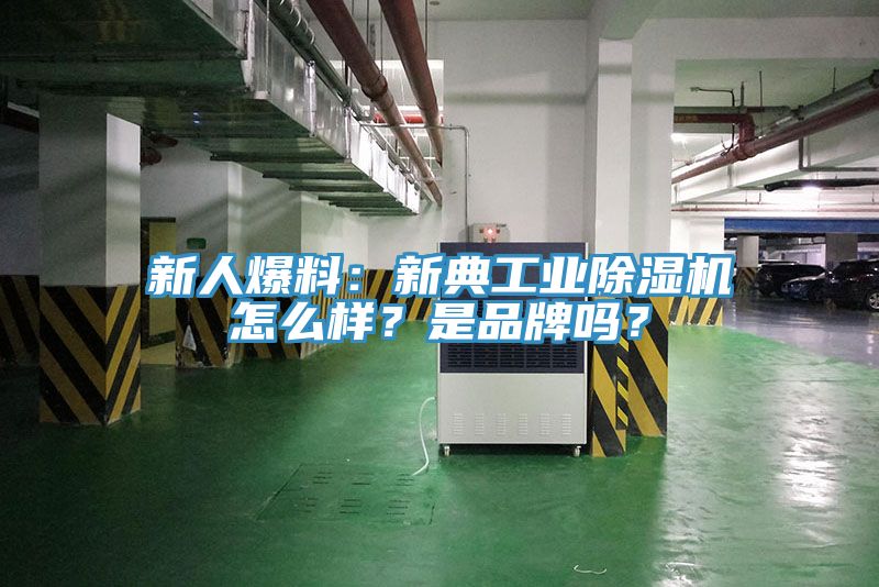 新人爆料：新典工業91看片网站怎麽樣？是品牌嗎？