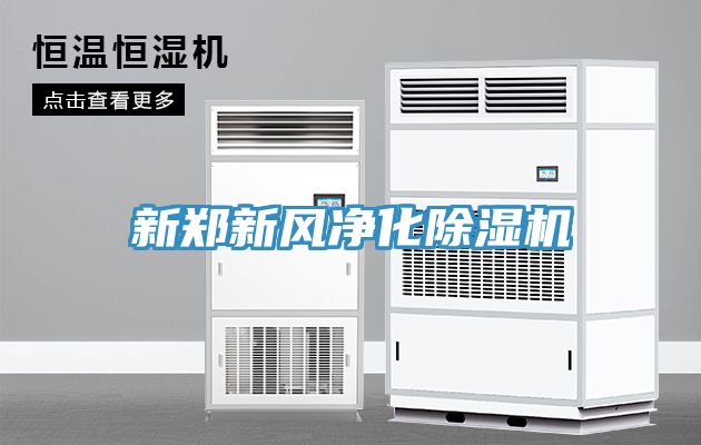 新鄭新風淨化91看片网站