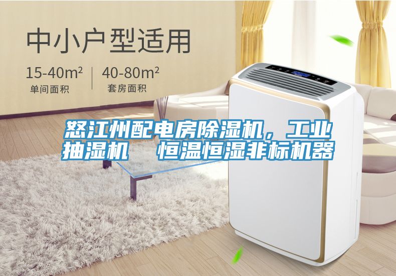 怒江州配電房91看片网站，工業抽濕機  恒溫恒濕非標機器