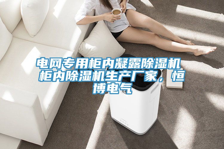 電網專用櫃內凝露91看片网站 櫃內91看片网站生產廠家，恒博電氣
