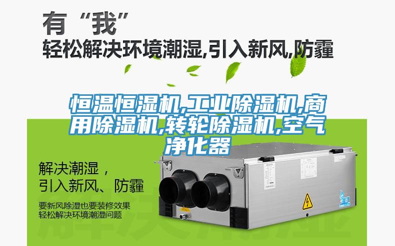 恒溫恒濕機,工業91看片网站,商用91看片网站,轉輪91看片网站,空氣淨化器
