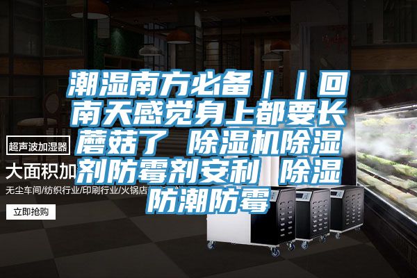潮濕南方必備｜｜回南天感覺身上都要長蘑菇了 91看片网站除濕劑防黴劑安利 除濕防潮防黴