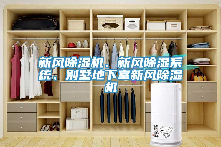 新風91看片网站、新風除濕係統、別墅地下室新風91看片网站