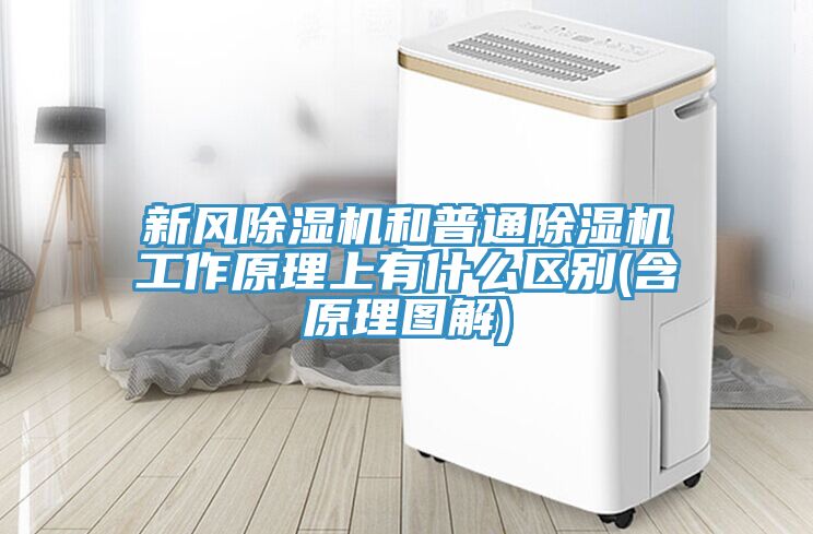 新風91看片网站和普通91看片网站工作原理上有什麽區別(含原理圖解)