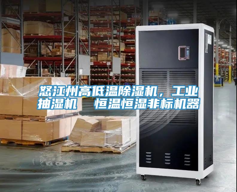 怒江州高低溫91看片网站，工業抽濕機  恒溫恒濕非標機器