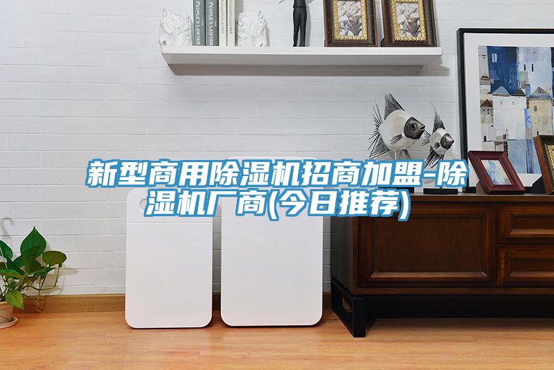 新型商用91看片网站招商加盟-91看片网站廠商(今日推薦)