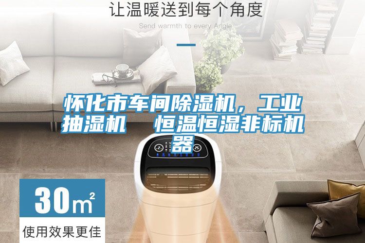 懷化市車間91看片网站，工業抽濕機  恒溫恒濕非標機器
