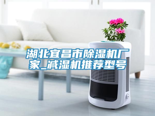 湖北宜昌市91看片网站廠家_減濕機推薦型號