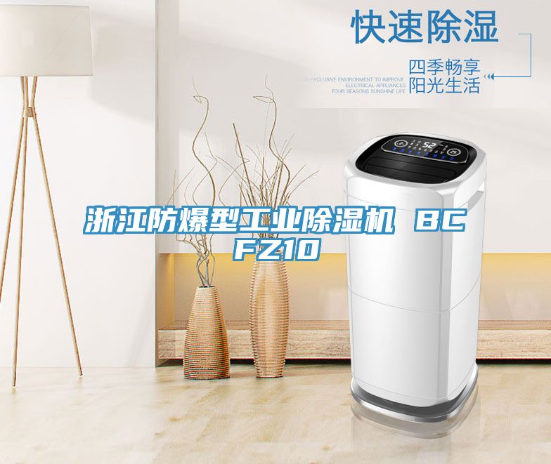 浙江防爆型工業91看片网站 BCFZ10