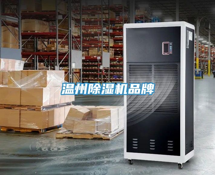 溫州91看片网站品牌