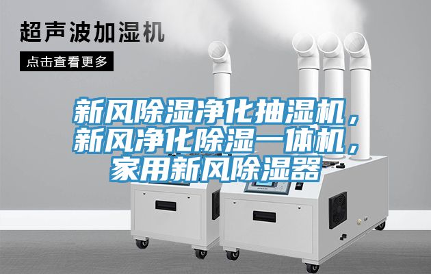 新風除濕淨化抽濕機，新風淨化除濕一體機，家用新風除濕器
